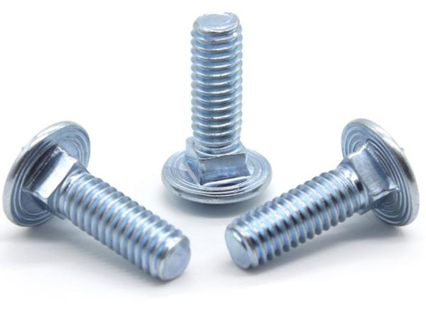 ISO9001 Certified Stainless Steel Carriage Bolt DIN603 for Steel Industry