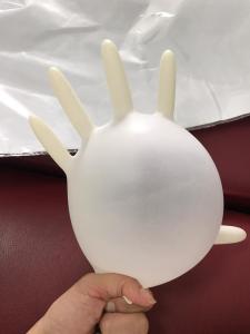 Powder Free Surgical Examination Disposable Latex Glove S M L XL