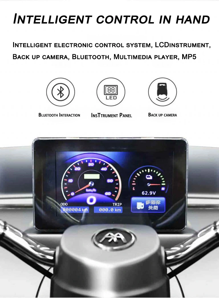 Raysince latest model electric mini car EEC certificated 60V 3 wheel electric bicycle for hot sale