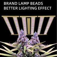 1200 watts LED Grow Light Full Spectrum médical Dimmable Plant Grow Light Samsung LM301H LM281B