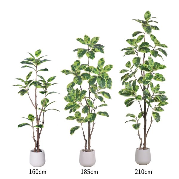 Latest New Arrival Artificial Indoor Plants Potted Plants Green White Faux Rubber Tree for Decoration Office Small Plastic