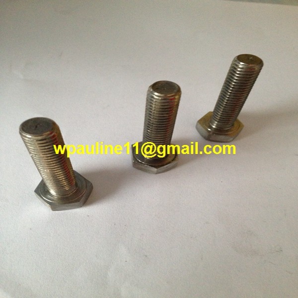 310S hex cap bolt 1.4841 screws and bolts