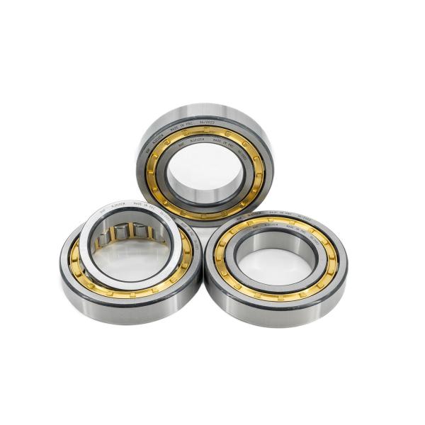 55*120*29mm N311 NU311 NJ311 NUP311 Cylindrical Roller Bearings for Mining Machinery