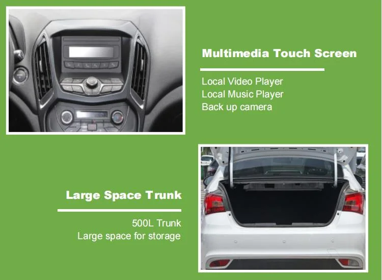 Raysince Factory Price High Speed Electric Car China Supplier Hot Sales New Energy Car with Four Seats and and Five Door