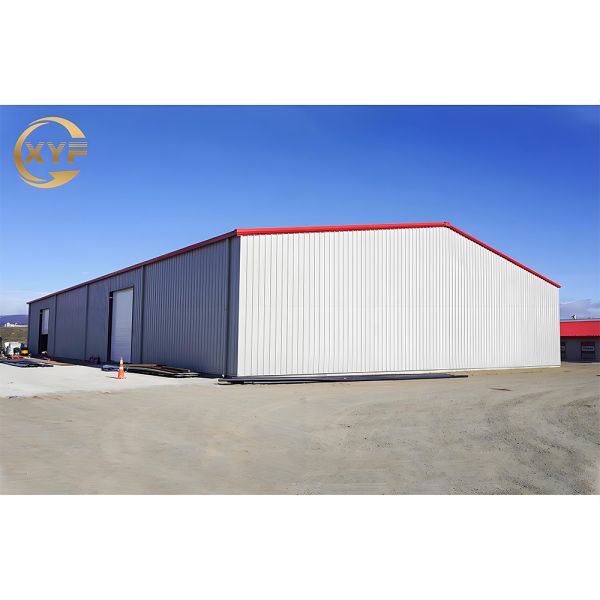 Hot Selling Metal Frame Steel Structure Warehouse Workshop Hangar Building Without Middle Columns