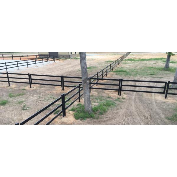 Horse and Sheep Yard Panels for Sale 1.8m x 2.1m 6 Horizontal Rails Oval tube 115x42mm