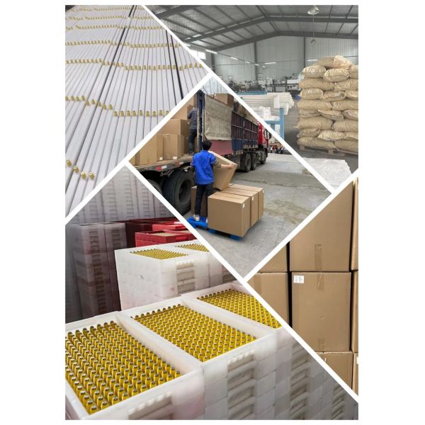 Corrosion Resistant Energy Saving Automatic Feed Poultry Ventilation System for Chicken House