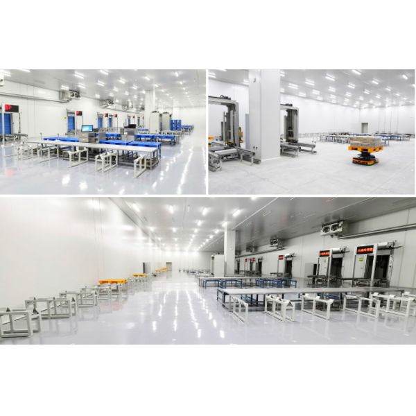 Cold Storage Warehouse Pallet Stacker Crane ASRS Logistics Center Automatic Storage And Retrieval System