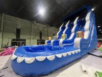 Amusement Park  Outdoor Garden Big Kid Inflatable Double Water Slides For Teenagers Backyard