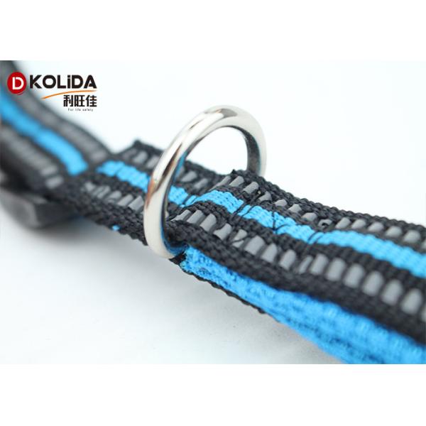 Eco - Friendly Fancy 6 Foot Nylon Dog Leash For Doggie Walking