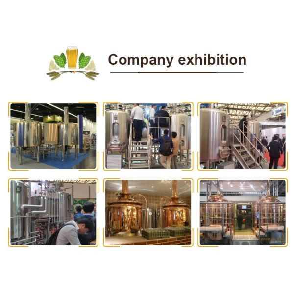 Полноавтоматическое полностью готовое оборудование вина оборудования винзавода системы дома брев