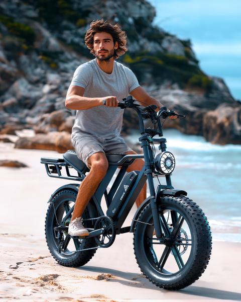 Electric Bicycle Disc Brake Dirt Bikes V20 V8 R002 Retro Sport Electronic Bicycle Fat Bike Ebike