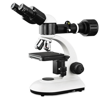 Economic Optical Light Microscope , Monocular Compound Light Microscopy