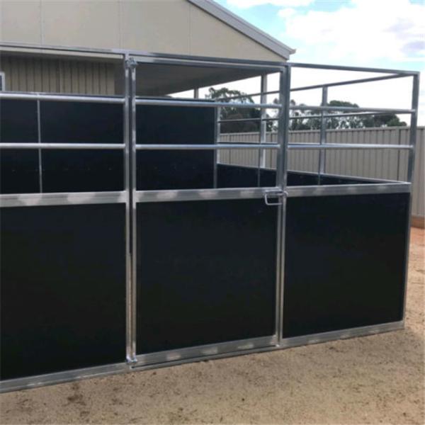 Conjunto fácil personalizado da caixa estável material de madeira do cavalo na cor preta
