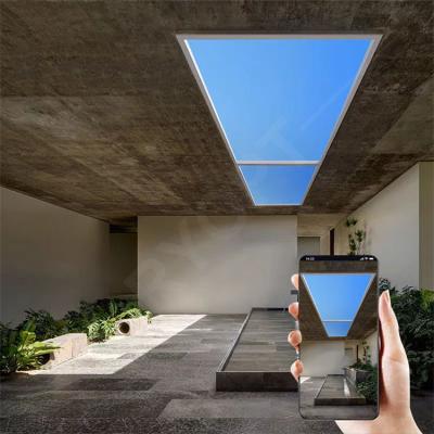 2.4G CCT 2200K-8000K LED Fake Skylight AC 110V-220V Remote Control