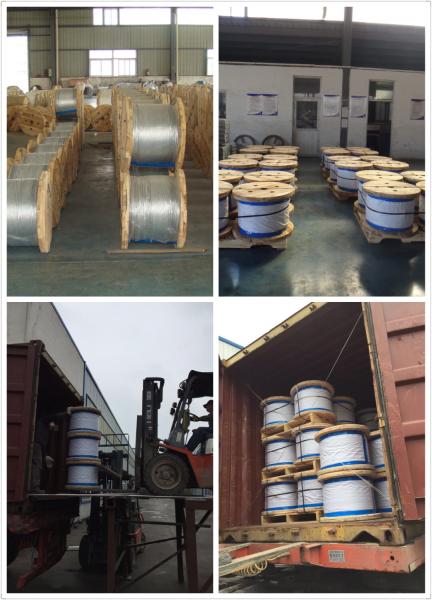 Galvanized Steel Wire Strand for Galvanized Cattle cable 5/16, 3/8 ,1/2EHS ASTM A 475
