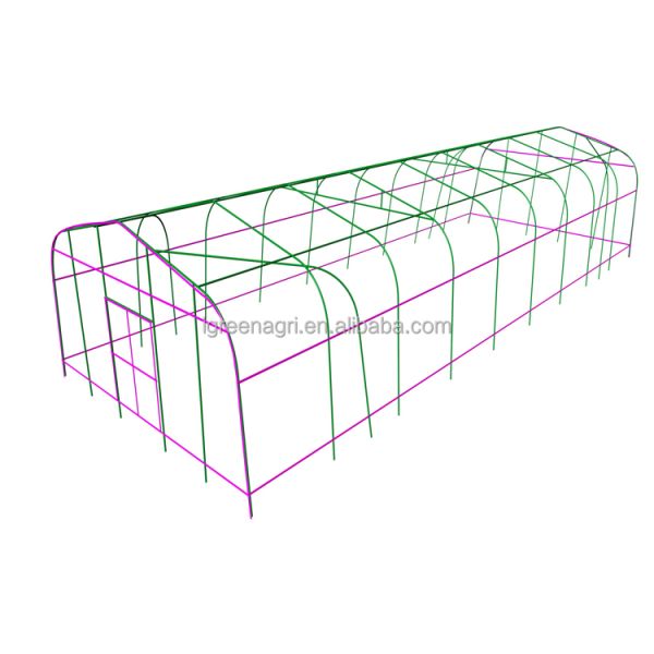 China Small Single-Span Low Tunnel Greenhouse with PE Film Cover Customizable Length