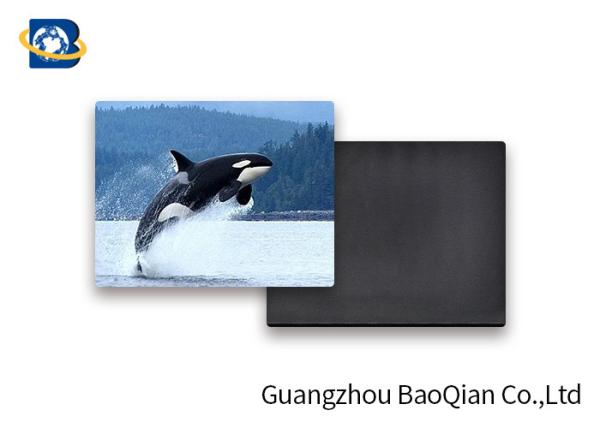 Customized Animal Personalized Fridge Magnets 3D Pictures PET Lenticular Thickness 0.6mm