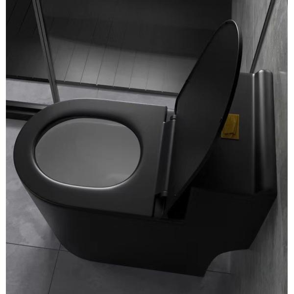 Siphon Flushing Matte Black Toilet One Piece Bathroom Ceramic Sets