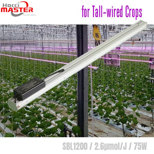 Aluminum 750nm 2.9μmol/J LED Greenhouse Grow Lights For Tomato Plants