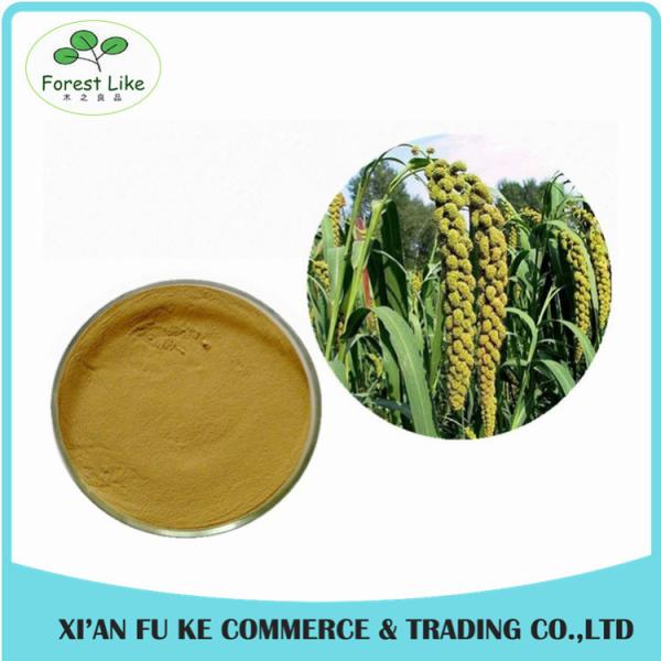 100% Pure Natural Non GMO Kosher Halal Certified 10:1 Purple Corn Seed Extract Powder