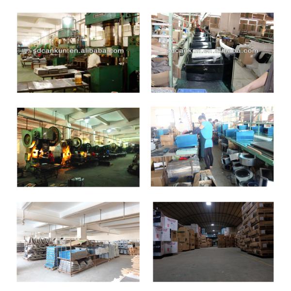 Stainless Steel Gas Water Heater NG LPG Gas Hot Water System 10L 12L Wall Mounted