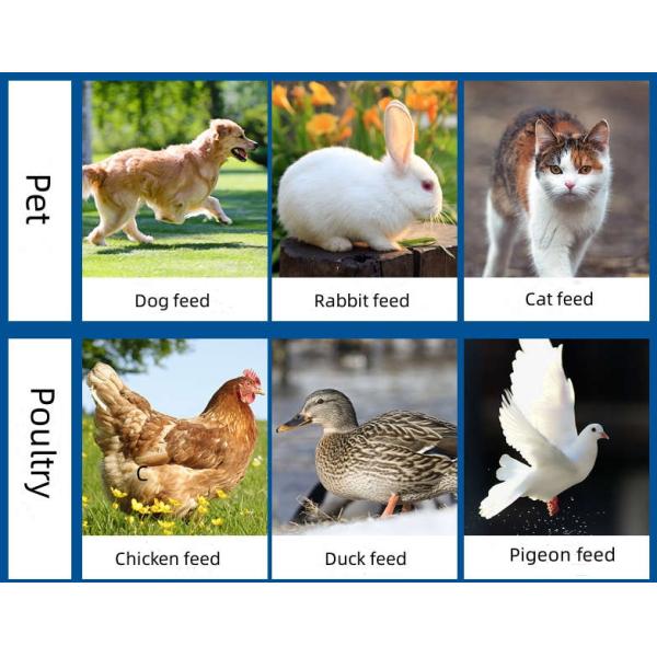 EWPM260B Feed Pellet Machine Self-Determined Face Animal 15KW 380V 50HZ