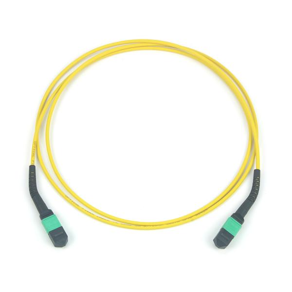 Performances optimisées Câble multi-fibres LSZH Push On Bend Boot Longueurs personnalisées 1/2/3/5/7/10m Avec matériau LSZH / PVC