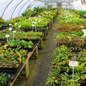 6 x 33 feet Sheet Woven Weed Control Fabric - Stabilized Black Heavy Duty 3 oz/yd² Landscape Ground Cover Membrane