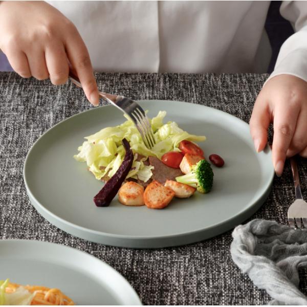 FINE&NICE Melamine Plates, 6 Pieces Dinnerware Plates, 10.5in Plates Set, Safe Dishes, Scratch Resistant, Dishwasher Saf