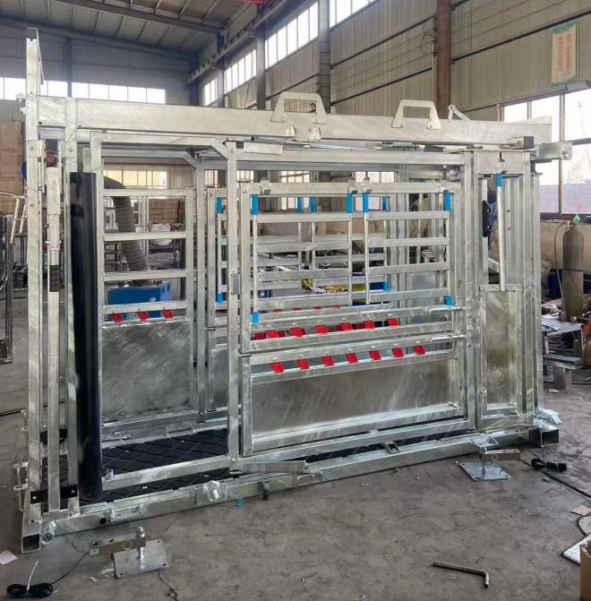  Galvanized Cattle Chute Crush With Extrusion And Weighting