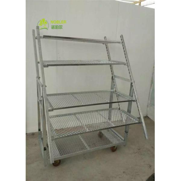 Вагонетка КК цветка дисплея кладет тележку на полку сада, вагонетку дисплея цвет