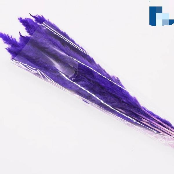 Wholesale Price Preserved Flower Dried Rabbit Tail Grass   Decorative Flowers
