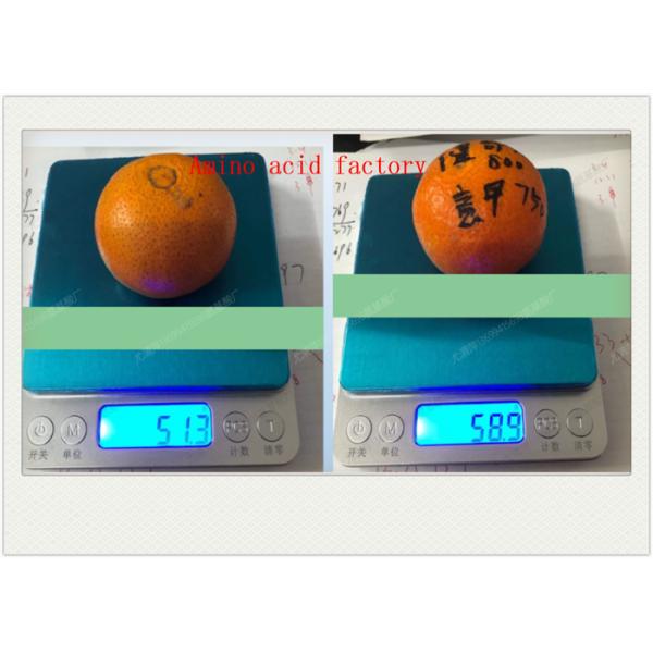 Удобрение Mg Ca аминокислоты жидкостное органическое особенное для фруктовых деревьев