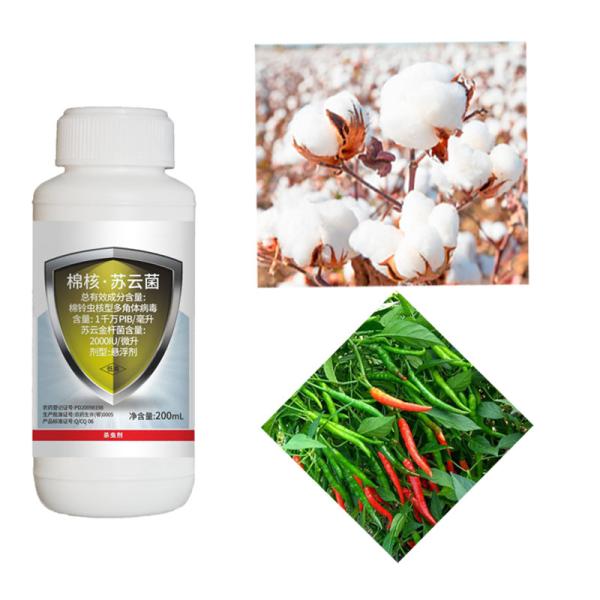 Cotton Boll Worm Organic Pesticide Natural Cotton Biological Insecticides Environment Protecting Pesticide