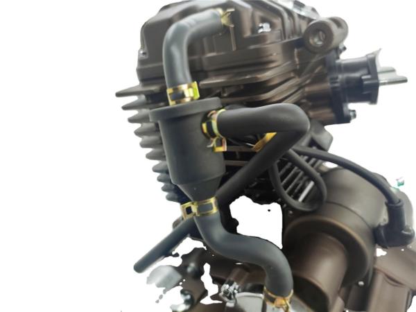 Motor DAYANG de 250cc Motor de motociclo de cilindro único de 4 tempos Wolf estilo frio resfriado a água