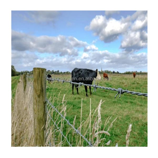 8ft Veld Span Field Fence 100m Farm Fencing Net with Galvanized or Hot Dipped Finish
