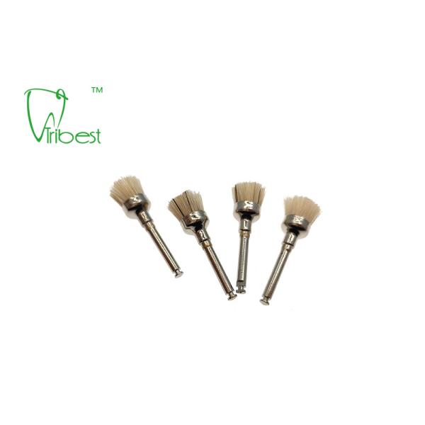 White Bristle Brush Dental Polishing Kit Teeth Polishing Brush