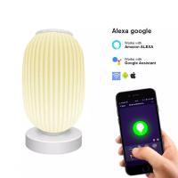 Lampe de table lanterne intelligente décorative Tuya APP Alexa Google Smart WiFi LED Light