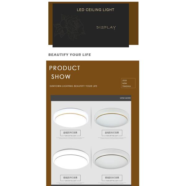 Cri80 960LM Ceiling Mounted LED Lights 12 Watt Warm White Pure White