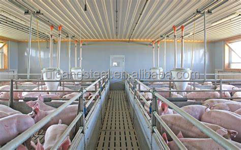 Rg-factory Wholesale Livestock Shelter Steel Prefab Cow Shed Prefabricated Pig House