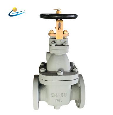 Bronze JIS Gate Valve Flanged Ends Metal Seat Marine Gate Valve