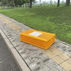頑丈 安全な 鶏飼育 鶏運搬 鶏運搬箱