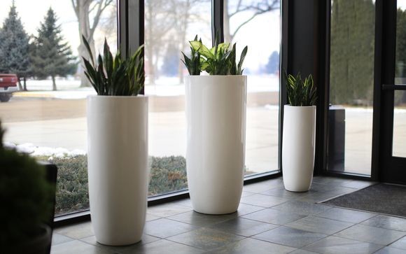 Grands pots ronds en fibre de verre pour le paysage de rue extérieur