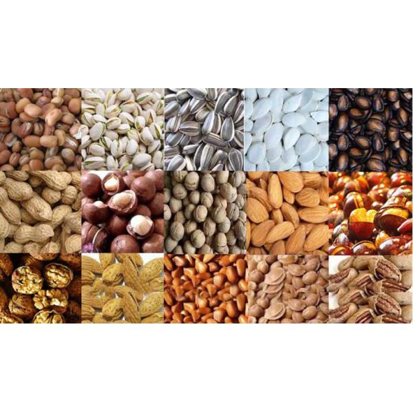 Industrial Stainless Steel Snack Roaster 0.75KW 380V Nuts Seeds Roasting Machine