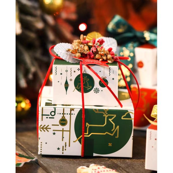 Xmas Tree Nougat Gift Packing Box Rectangle Cookie Assortment Box