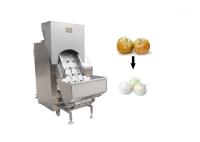 machine de Peeler de peau d'oignon de 380V 50HZ SUS304 1.0MPa
