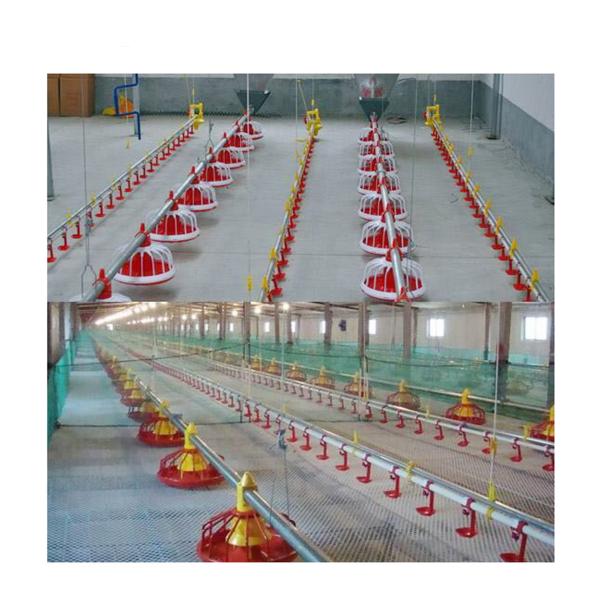 Chicken Drinking 6L 6kg Drinking Water Pot Bucket Spot Thickened Plastic Duck Goose Drinking Pot Chicken