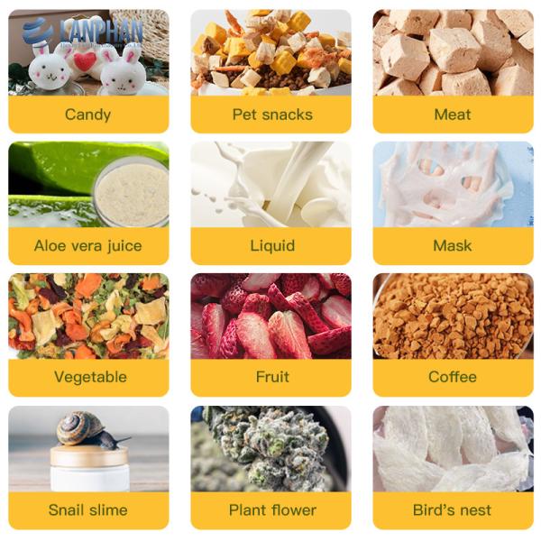 Заморозить сушеные угощения для домашних животных 0,9м2 Вакуумный сушильщик 10 подносов Заморозить сушильщик для дома