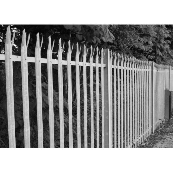Garden Steel Palisade Fencing Hot Dipped Galvanized With Post